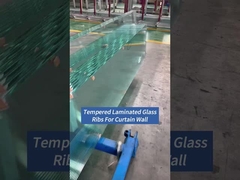 カーテン 壁 玄関 温かい 層状 ガラス 肋骨